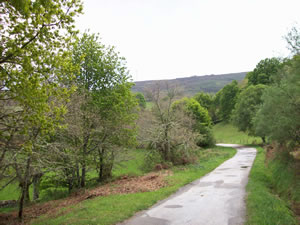 Camino desde la casa